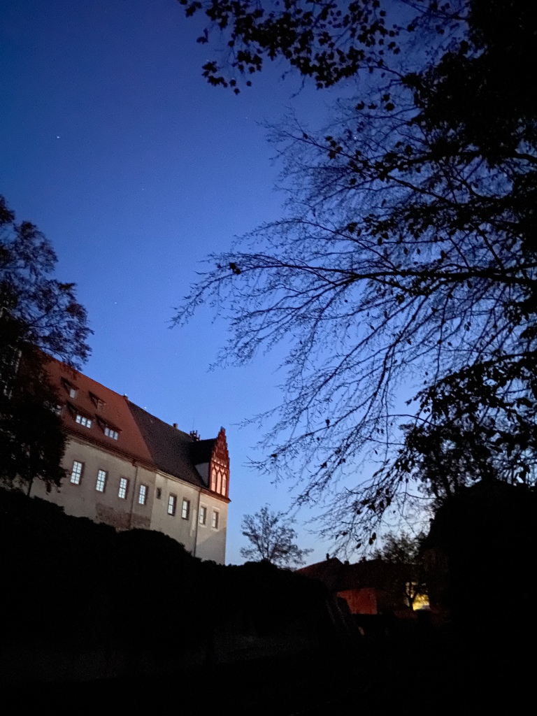 Vor einem abendlichen Himmel sieht man links im Bild, angeschnitten, ein schlossähnliches Gebäude mit glänzenden Fenstern. Links und rechts schwarze Baumsilhouetten, der untere Rand des Bildes ist schwarz. 